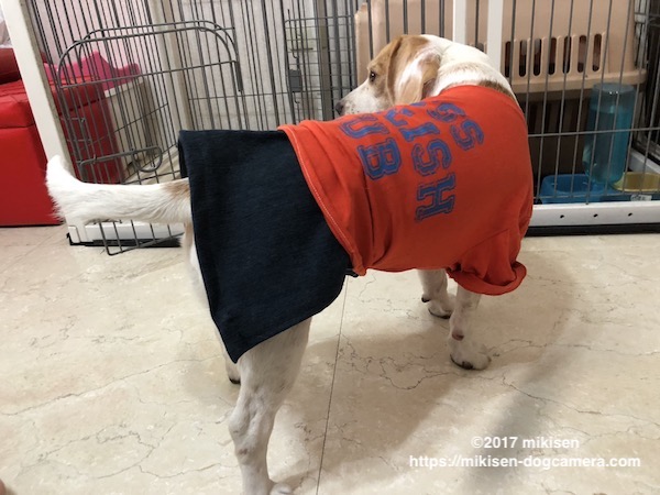 Tシャツをリメイク ワンコの服の作り方 型紙なしで簡単に作れます 犬とカメラのある生活 In Taiwan