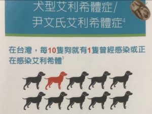 犬のエールリヒア症
